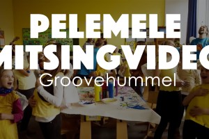 Mitsing-Groovehummel